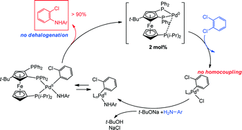 Graphical abstract: Palladium C–N bond formation catalysed by air-stable robust polydentate ferrocenylphosphines: a comparative study for the efficient and selective coupling of aniline derivatives to dichloroarene