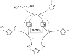 Graphical abstract: Combined 1,4-butanediol lactonization and transfer hydrogenation/hydrogenolysis of furfural-derivatives under continuous flow conditions