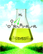 Graphical abstract: Catalytic hydrogenation of C [[double bond, length as m-dash]] C and C [[double bond, length as m-dash]] O in unsaturated fatty acid methyl esters