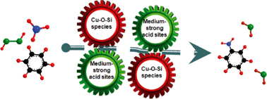 Graphical abstract: Direct amination of benzene to aniline with H2O2 and NH3·H2O over Cu/SiO2 catalyst