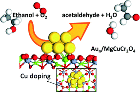 Graphical abstract: A mechanism of gas-phase alcohol oxidation at the interface of Au nanoparticles and a MgCuCr2O4 spinel support
