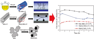 Graphical abstract: Enhanced catalytic performance of molybdenum-doped mesoporous SBA-15 for metathesis of 1-butene and ethene to propene