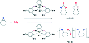 Graphical abstract: Coupling reaction between CO2 and cyclohexene oxide: selective control from cyclic carbonate to polycarbonate by ligand design of salen/salalen titanium complexes