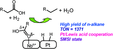 Graphical abstract: Hydrodeoxygenation of fatty acids and triglycerides by Pt-loaded Nb2O5 catalysts