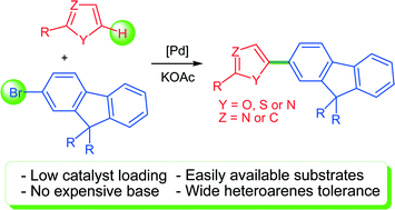 Graphical abstract: Reactivity of bromofluorenes in palladium-catalysed direct arylation of heteroaromatics