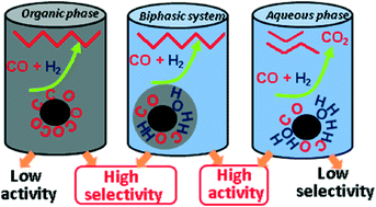 Graphical abstract: Fischer–Tropsch synthesis on a ruthenium catalyst in two-phase systems: an excellent opportunity for the control of reaction rate and selectivity