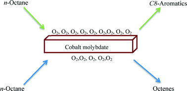 Graphical abstract: The effect of the oxidation environment on the activity and selectivity to aromatics and octenes over cobalt molybdate in the oxidative dehydrogenation of n-octane