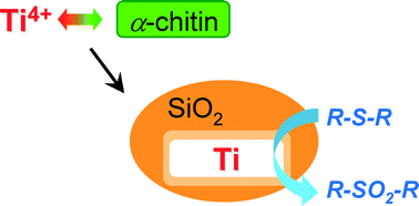 Graphical abstract: Improved silica–titania catalysts by chitin biotemplating