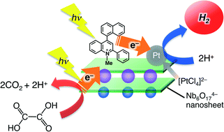 Graphical abstract: A composite photocatalyst of an organic electron donor–acceptor dyad and a Pt catalyst supported on semiconductor nanosheets for efficient hydrogen evolution from oxalic acid