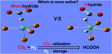 Graphical abstract: A computational study on the hydrogenation of CO2 catalyzed by a tetraphos-ligated cobalt complex: monohydride vs. dihydride