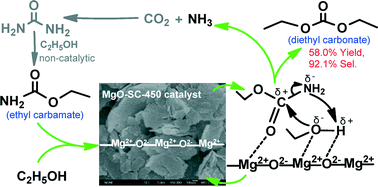 Graphical abstract: Magnesium oxide nanosheets as effective catalysts for the synthesis of diethyl carbonate from ethyl carbamate and ethanol