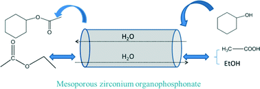 Graphical abstract: Mesoporous zirconium phosphonate materials as efficient water-tolerable solid acid catalysts