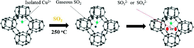 Graphical abstract: Deactivation mechanism of SO2 on Cu/SAPO-34 NH3-SCR catalysts: structure and active Cu2+