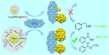 Graphical abstract: Factors influencing the catalytic oxidation of benzyl alcohol using supported phosphine-capped gold nanoparticles