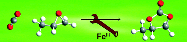 Graphical abstract: Novel iron(iii) catalyst for the efficient and selective coupling of carbon dioxide and epoxides to form cyclic carbonates