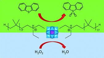 Graphical abstract: Polyisobutylene oligomer-bound polyoxometalates as efficient and recyclable catalysts for biphasic oxidations with hydrogen peroxide