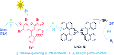 Graphical abstract: Photocatalytic hydrogen evolution from a cobalt/nickel complex with dithiolene ligands under irradiation with visible light