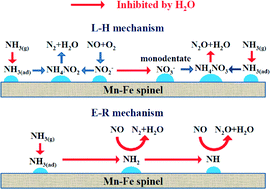 Graphical abstract: The mechanism of the effect of H2O on the low temperature selective catalytic reduction of NO with NH3 over Mn–Fe spinel