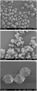 Graphical abstract: Cu, Al and Ga based metal organic framework catalysts for the decarboxylation of oleic acid