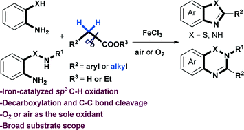 Graphical abstract: Iron-catalyzed aerobic oxidative functionalization of sp3 C–H bonds: a versatile strategy for the construction of N-heterocycles