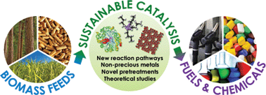 Graphical abstract: Sustainable catalytic conversions of renewable substrates