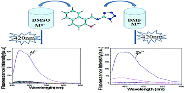 Graphical abstract: A tetrazole-based fluorescence “turn-on” sensor for Al(iii) and Zn(ii) ions and its application in bioimaging