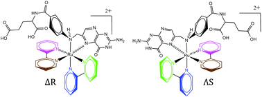 Graphical abstract: Folates are potential ligands for ruthenium compounds in vivo