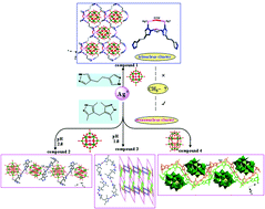 Graphical abstract: The key role of –CH3 steric hindrance in bis(pyrazolyl) ligand on polyoxometalate-based compounds