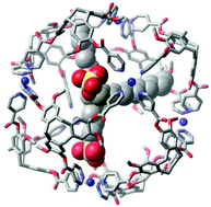 Graphical abstract: Encapsulation of sodium alkyl sulfates by the cyclotriveratrylene-based, [Pd6L8]12+ stella octangula cage