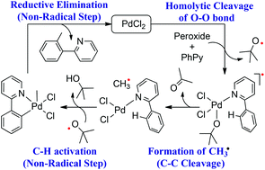 Graphical abstract: The mechanism of catalytic methylation of 2-phenylpyridine using di-tert-butyl peroxide