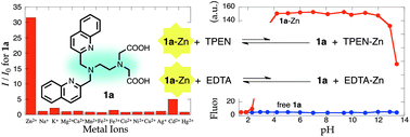 Graphical abstract: Bis(2-quinolylmethyl)ethylenediaminediacetic acids (BQENDAs), TQEN–EDTA hybrid molecules as fluorescent zinc sensors