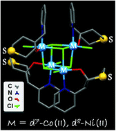 Graphical abstract: A comparative synthetic, magnetic and theoretical study of functional M4Cl4 cubane-type Co(ii) and Ni(ii) complexes