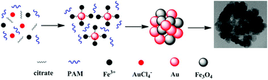 Graphical abstract: Controlled synthesis of Au–Fe3O4 hybrid hollow spheres with excellent SERS activity and catalytic properties