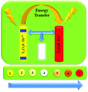 Graphical abstract: The energy transfer phenomena and colour tunability in Y2O2S:Eu3+/Dy3+ micro-fibers for white emission in solid state lighting applications