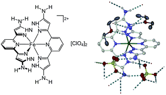 Graphical abstract: Iron(ii) complexes of 2,6-di(1H-pyrazol-3-yl)-pyridine derivatives with hydrogen bonding and sterically bulky substituents