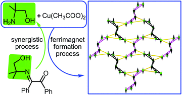 Graphical abstract: A two-dimensional homospin Cu(ii) ferrimagnet featuring S-shaped hexanuclear secondary building blocks