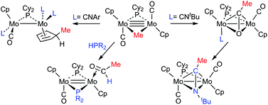 Graphical abstract: Insertion, coupling and elimination processes in the reactions of the unsaturated alkyl-bridged complexes [Mo2(η5-C5H5)2(μ-CH2R)(μ-PCy2)(CO)2] (R = H, Ph) with isocyanides and secondary phosphines