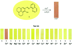 Graphical abstract: A colorimetric organic chemo-sensor for Co2+ in a fully aqueous environment