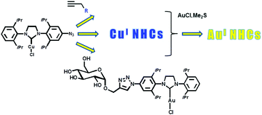 Graphical abstract: ‘Auto-click’ functionalization for diversified copper(i) and gold(i) NHCs