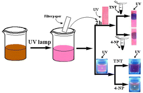 Graphical abstract: Fluorescent detection of TNT and 4-nitrophenol by BSA Au nanoclusters