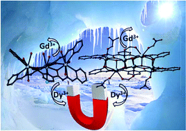 Graphical abstract: Synthesis, crystal structure and study of magnetocaloric effect and single molecular magnetic behaviour in discrete lanthanide complexes