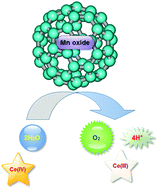 Graphical abstract: Nanolayered manganese oxide/C60 composite: a good water-oxidizing catalyst for artificial photosynthetic systems
