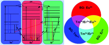 Graphical abstract: Cross-relaxation induced tunable emissions from the Tm3+/Er3+/Eu3+ ions activated BaGd2O4 nanoneedles