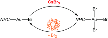 Graphical abstract: Facile oxidation of NHC-Au(i) to NHC-Au(iii) complexes by CsBr3