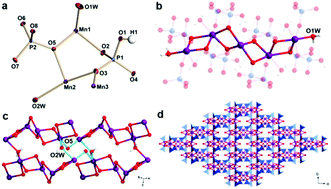 Graphical abstract: Exploration of the slow relaxation behavior in the manganese phosphate network