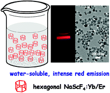 Graphical abstract: One-step synthesis of water-soluble hexagonal NaScF4:Yb/Er nanocrystals with intense red emission