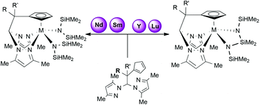 Graphical abstract: Synthesis and structural characterization of amido scorpionate rare earth metals complexes