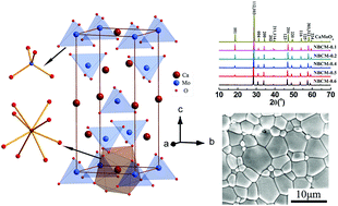 Graphical abstract: Structure–property relationships of novel microwave dielectric ceramics with low sintering temperatures: (Na0.5xBi0.5xCa1−x)MoO4