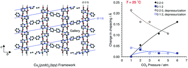 Graphical abstract: Hysteretic adsorption of CO2 onto a Cu2(pzdc)2(bpy) porous coordination polymer and concomitant framework distortion