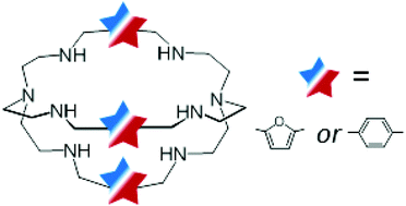 Graphical abstract: Mixing the spacers in azacryptands: effects on halide recognition